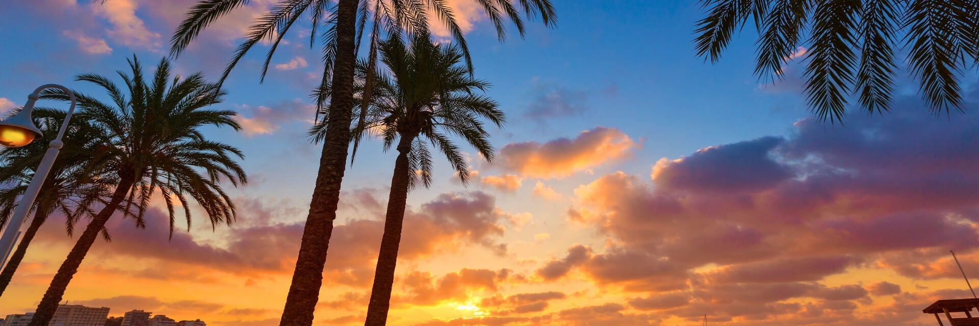 Палма де Майорка - в ритъма на Магалуф