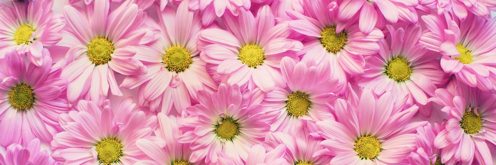 Пролетен карнавал в Крайова