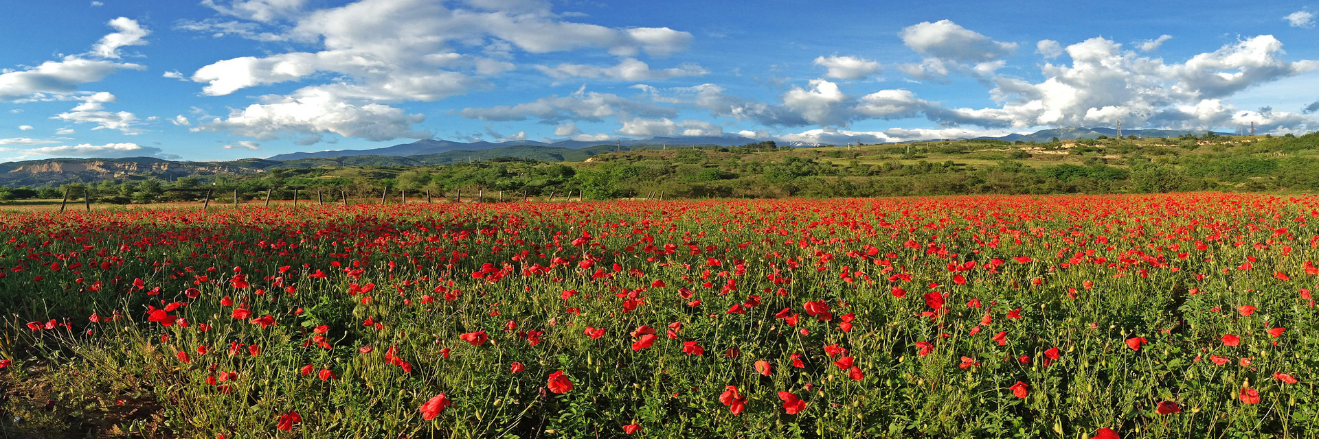Екскурзии в България