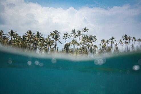 Малдиви и Шри Ланка - Изображение 1