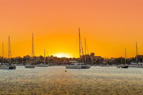 Палма де Майорка - в ритъма на Магалуф - Изображение 1