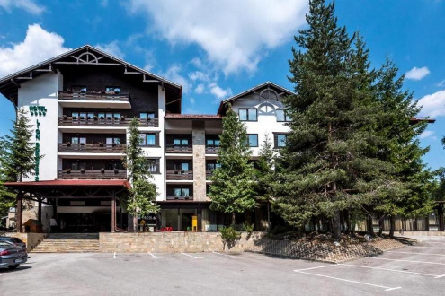 LION BOROVETS - Изображение 1