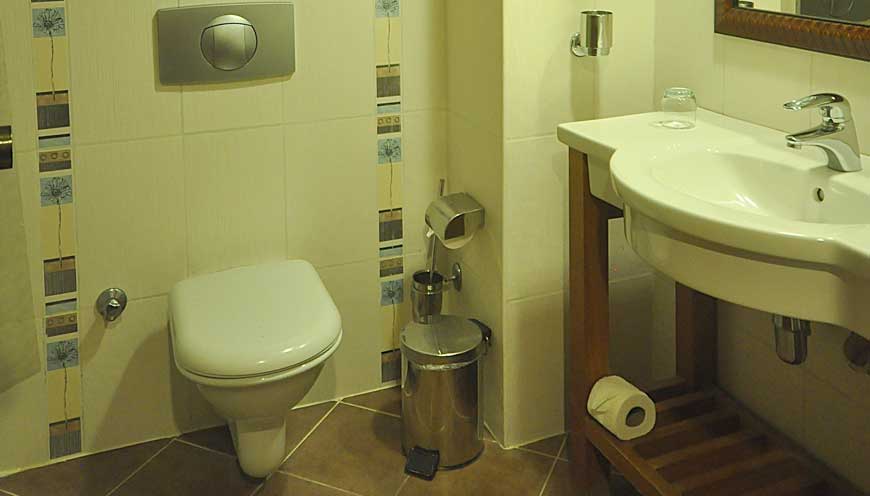 PINETA PARK DELUXE - &nbsp;Standart Room Bath
