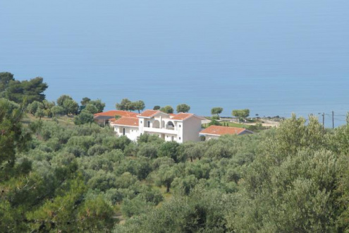 ST GEORGE - Изображение 1