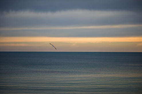 NEW TOWN APART HOTEL - Изображение 1