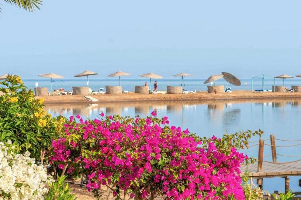 MOVENPICK RESORT & SPA EL GOUNA  - Изображение 13