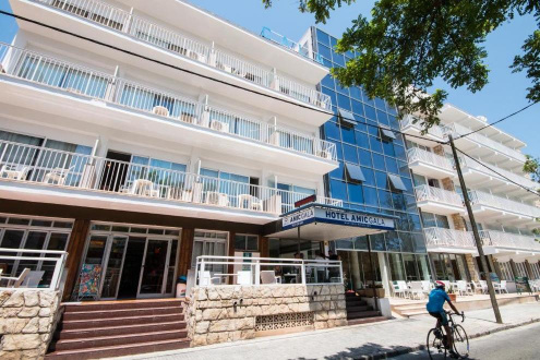 AMIC GALA - Изображение 1