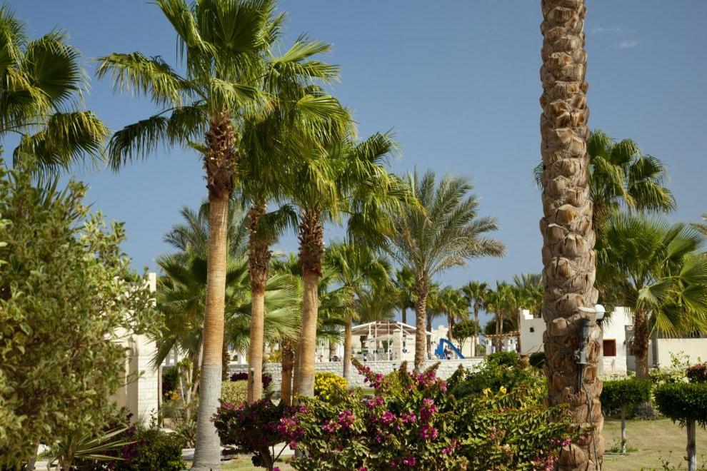 CORAL BEACH RESORT HURGHADA - Изображение 15