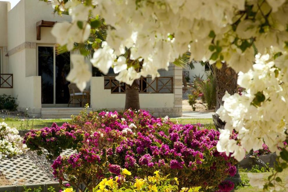 CORAL BEACH RESORT HURGHADA - Изображение 16