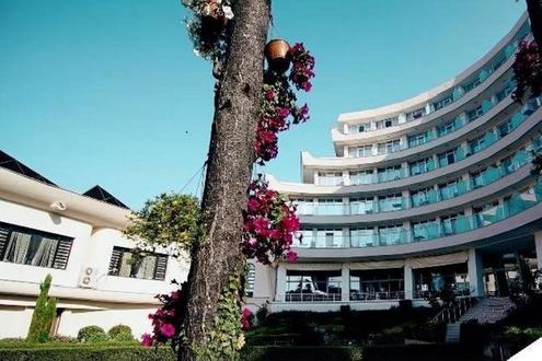 DRIM HOTEL - Изображение 1