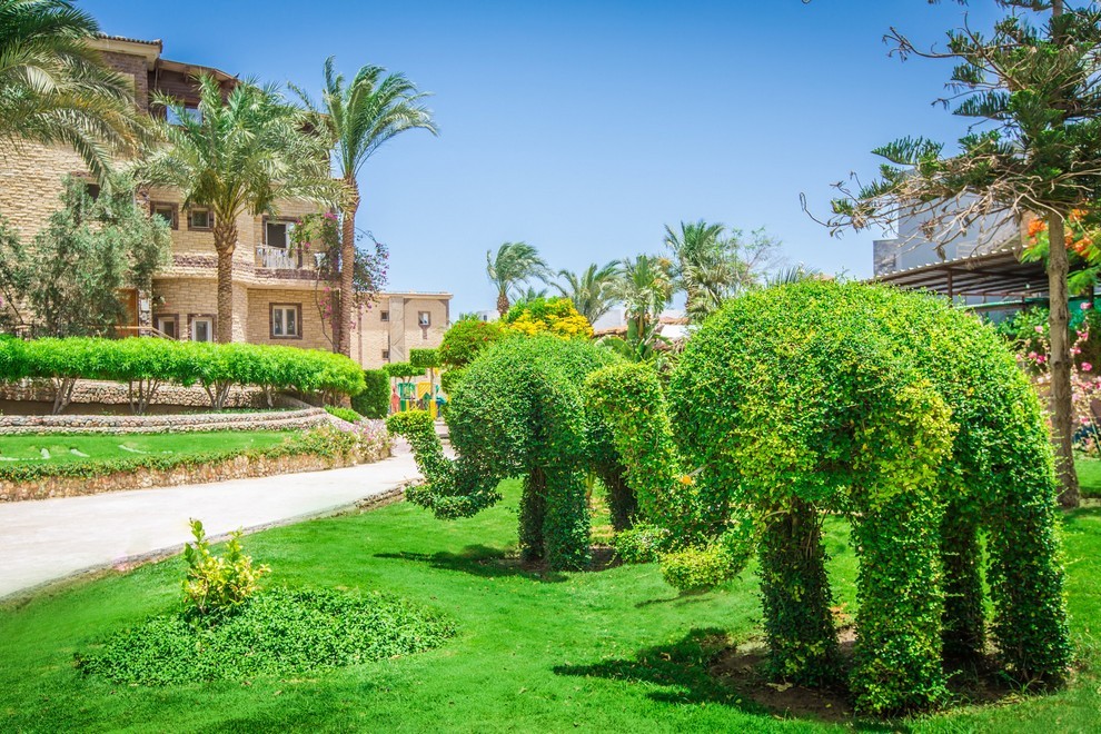 Seagull Beach Resort - Изображение 14